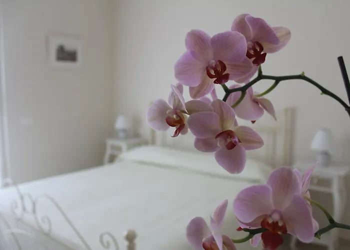 Il Giglio Bianco Sorrento