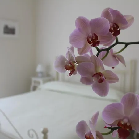 Il Giglio Bianco Sorrent